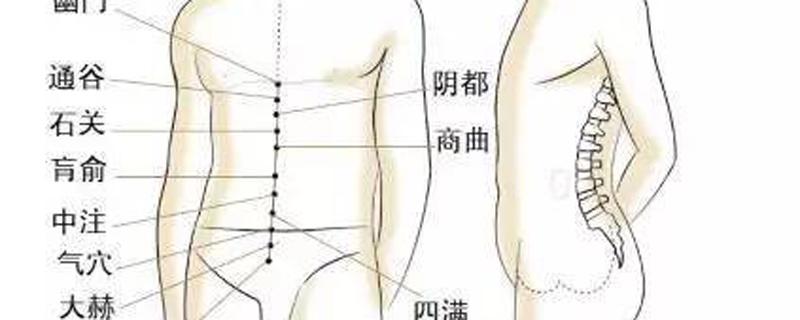 冲脉的准确走向位置图 冲脉的准确走向位置图视频