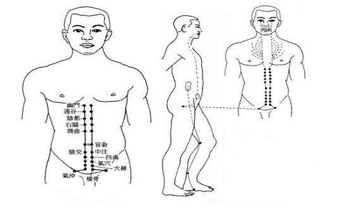 冲脉的准确位置图片（冲脉的准确位置图片图）