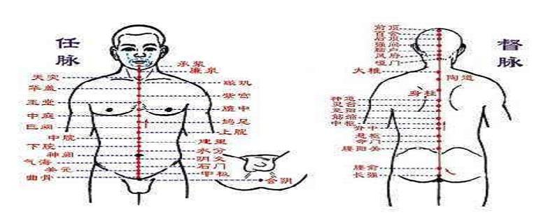 脊中的準確位置（脊中的準確位置圖）