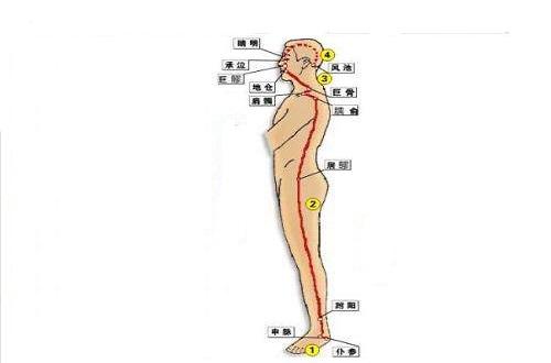 陽蹺脈循行路線圖片（陽蹺脈走向圖）