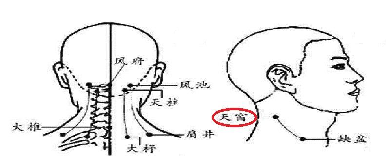 天窗在什么位置图 天窗的准确位置图片及作用