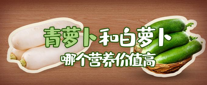 青萝卜和白萝卜哪个营养价值高 冬天吃青萝卜还是白萝卜好