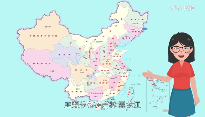 朝鲜族是少数民族吗 朝鲜族是古代哪个民族