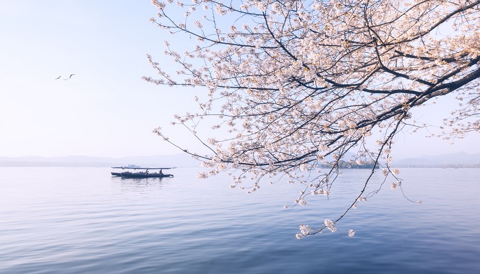 水光潋滟晴方好描写的是哪里的景色 水光潋滟晴方好描写了什么景色