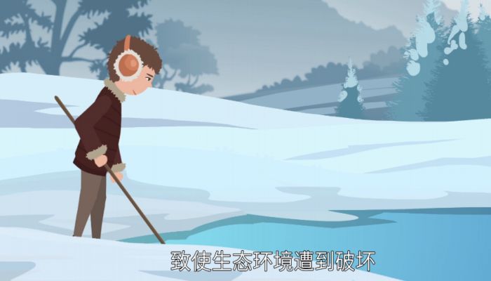 雪蛤是什么  什么是雪蛤