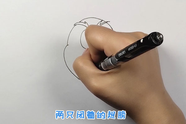 猫头鹰简笔画