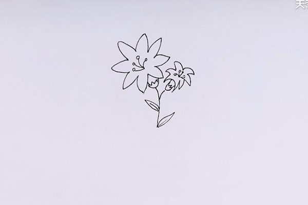 花草简笔画