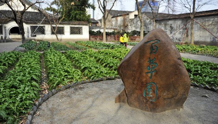 从百草园到三味书屋主旨 从百草园到三味书屋主题思想