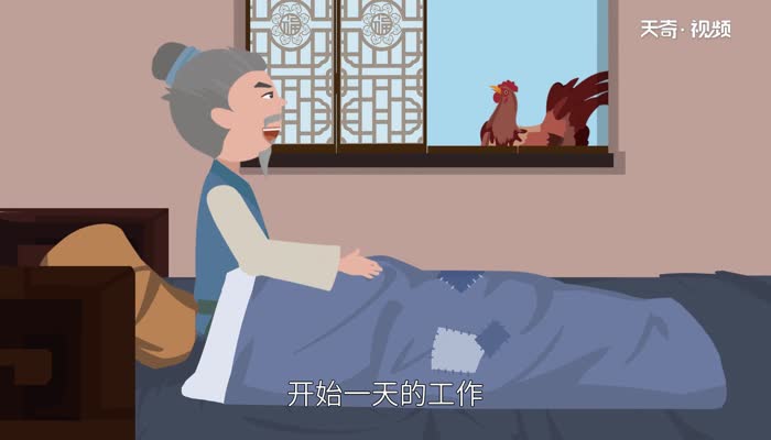 公雞為什么打鳴 公雞打鳴的原因