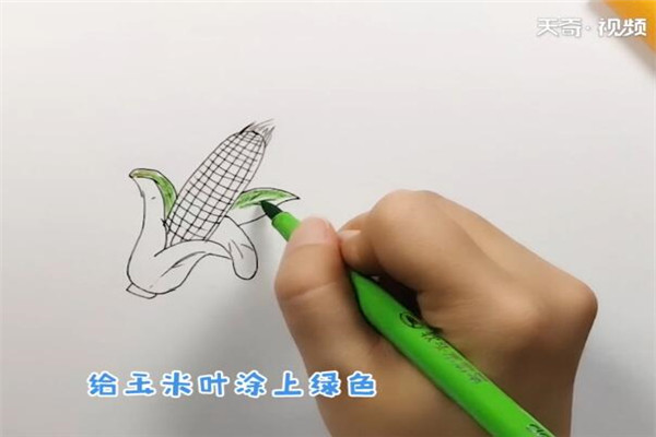 玉米的简笔画