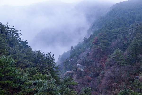 望庐山瀑布的诗意 望庐山瀑布全诗意思