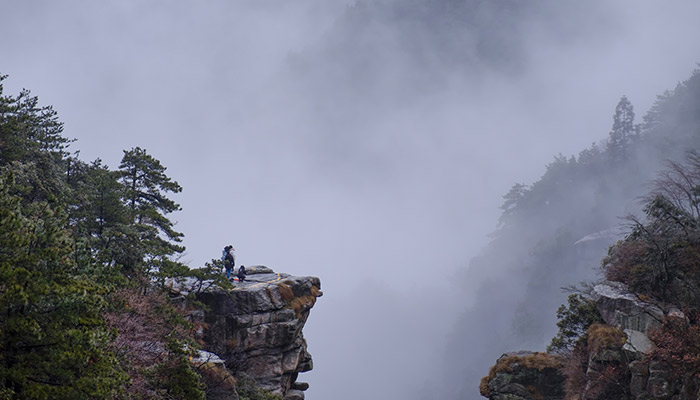 盧山市總?cè)丝诙嗌?廬山市人口總數(shù)是多少