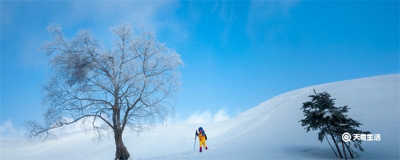 為什么稱冬天的風(fēng)為朔風(fēng) 為什么冬天的風(fēng)叫朔風(fēng)