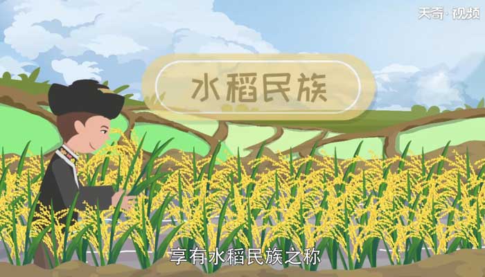 布依族的传统节日是什么 布依族的传统节日