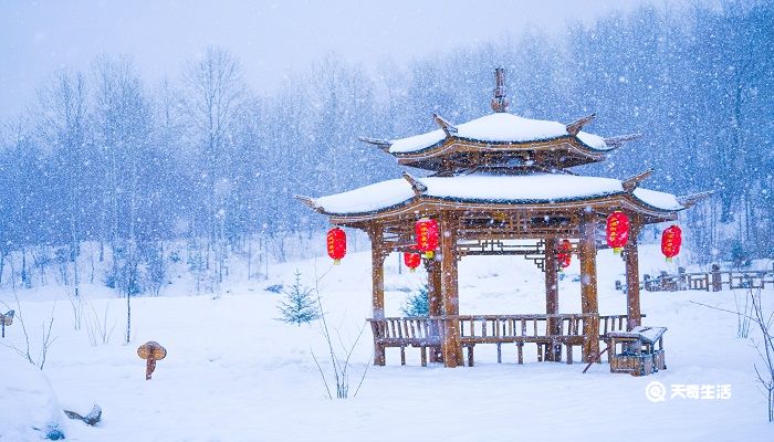 岁暮阴阳催短景,天涯霜雪霁寒宵赏析 天涯霜雪霁寒宵赏析