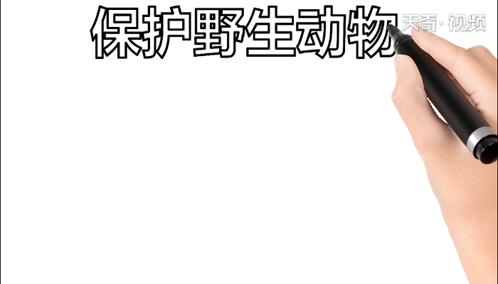 爱护野生动物的手抄报 爱护野生动物的画报