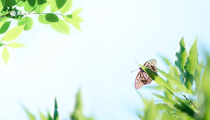 風(fēng)景還在,人卻已非什么意思 風(fēng)景依舊,物是人非的意思