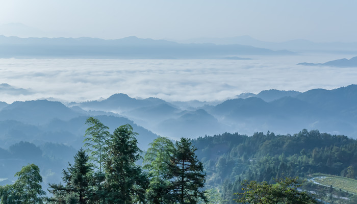 游钟山王安石翻译 游钟山王安石翻译详细