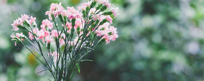 教师节送什么礼物好 教师节送礼物推荐