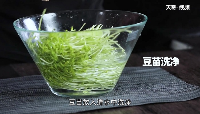 蒜香豆苗怎么做 蒜香豆苗的做法