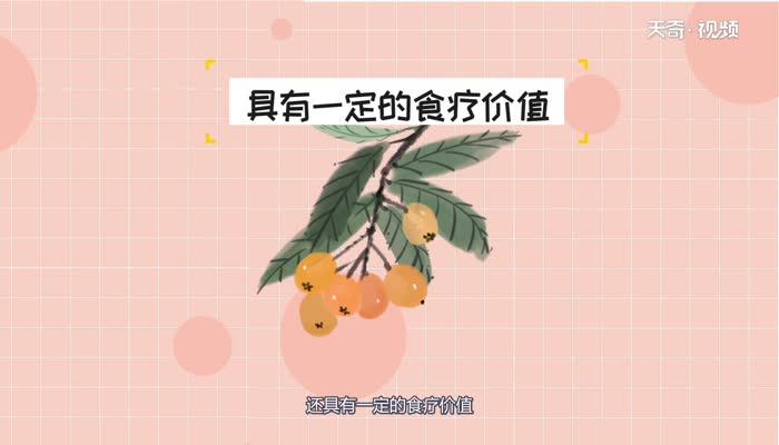 枇杷果能直接吃吗  枇杷果能不能直接吃呢