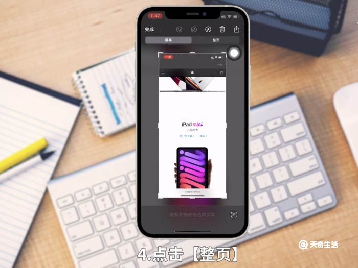 iphone12长截屏怎么截 苹果12长截屏怎么截