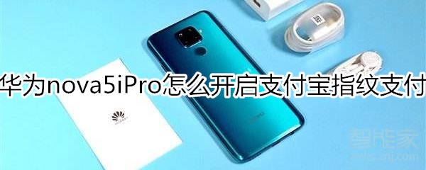 華為nova5iPro怎么開啟支付寶指紋支付