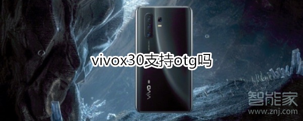 vivox30支持otg嗎