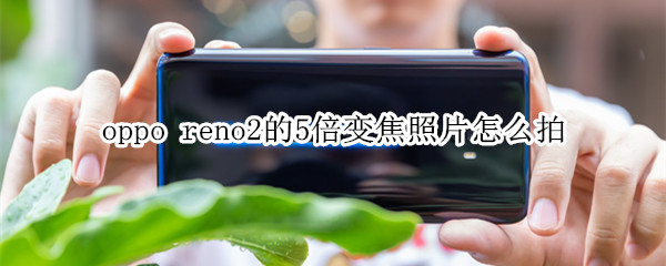 oppo reno2的5倍变焦照片怎么拍