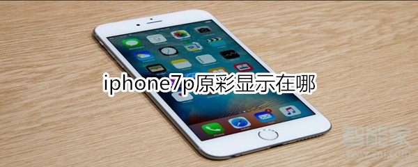 iphone7p原彩顯示在哪