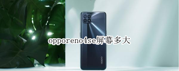 opporeno4se屏幕多大