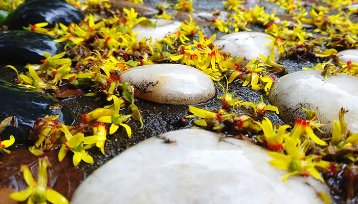 一场秋雨一场寒十场秋雨要穿棉的意思 一场秋雨一场寒十场秋雨要穿棉的意思是什么