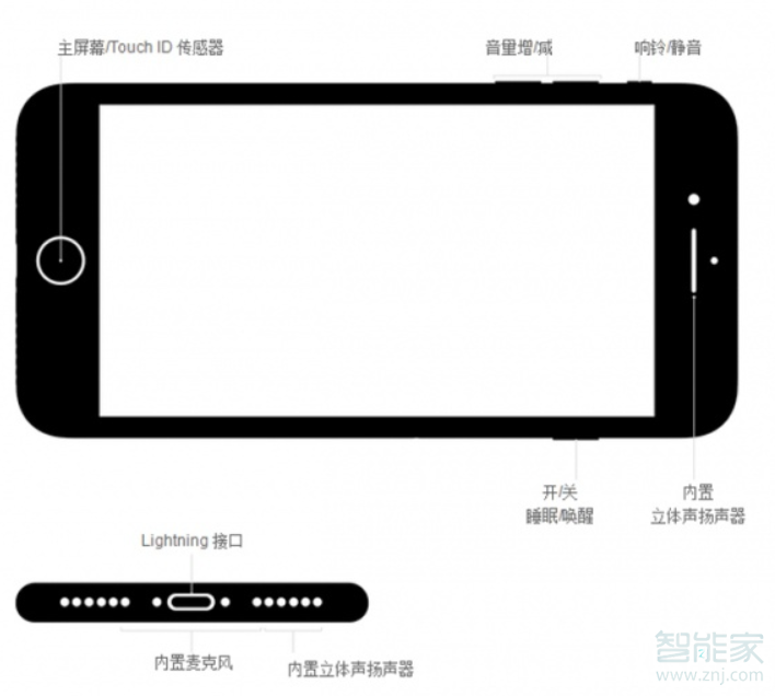 iphone7plus耳機孔在哪里