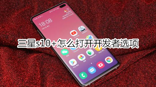 三星s10+怎么打开开发者选项