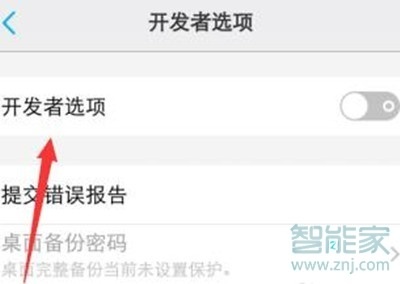 vivoz5开发者选项在哪