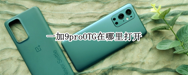 一加9proOTG在哪里打开