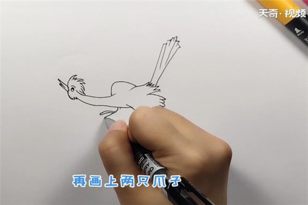 杜鹃鸟简笔画