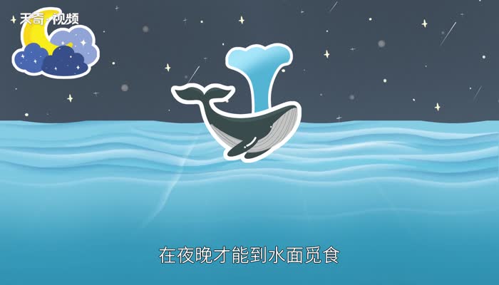 海洋生物有哪些 海洋中有哪些生物