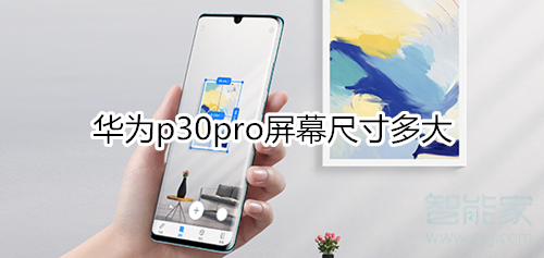 p30pro尺寸