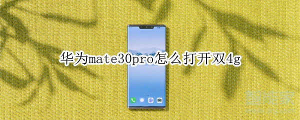 华为mate30pro怎么打开双4g