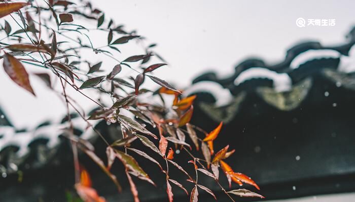 一場秋雨一場寒的下一句 一場秋雨一場寒的下一句是什么