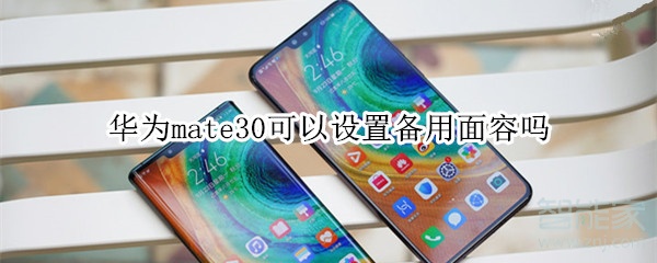 華為mate30可以設(shè)置備用面容嗎