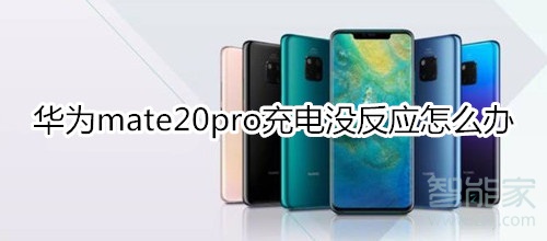 华为mate20pro充电没反应