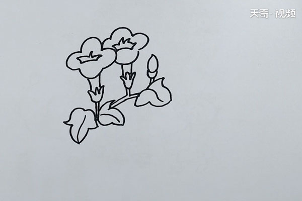 牵牛花简笔画