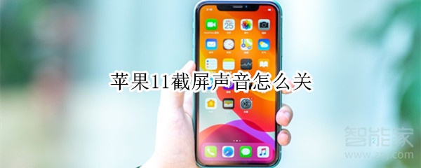 苹果11截屏声音怎么关