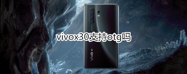 vivox30支持otg嗎