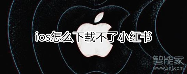 ios小紅書下載不了