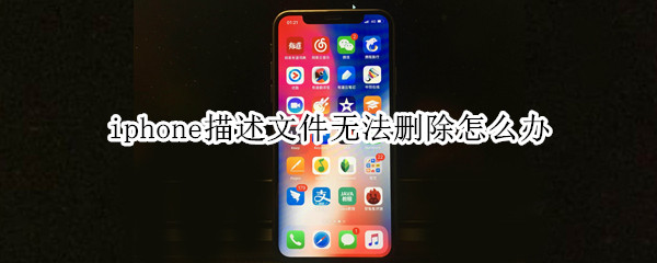 iphone描述文件無法刪除