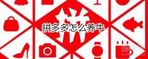 拼多多怎么養(yǎng)牛