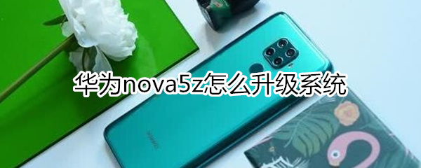 華為nova5z怎么升級系統(tǒng)